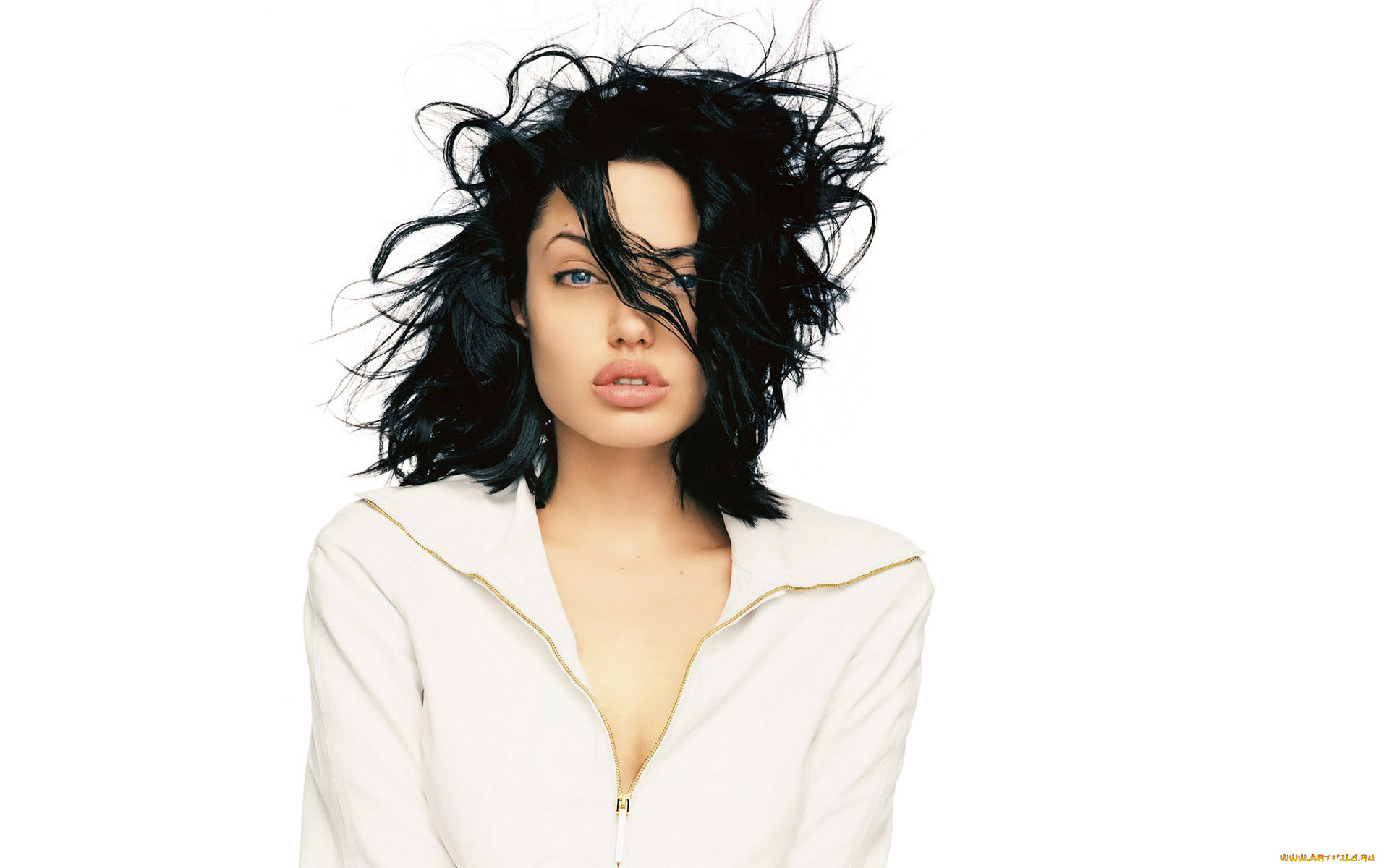 , angelina jolie, , , 